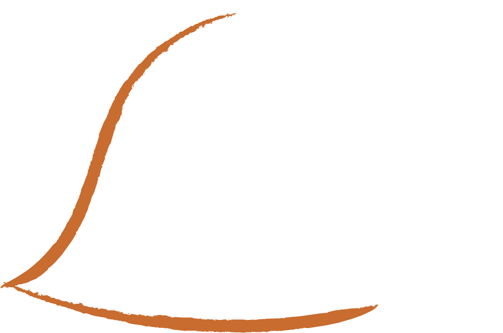 An illustrated gif where a speech bubble with a quote appears. It reads: “• “Without the PHHS block grant I'm not sure that we would have this innovation program. I think the funding sources are rather scarce as far as being able to be as flexible and to fund these types of emerging needs.”